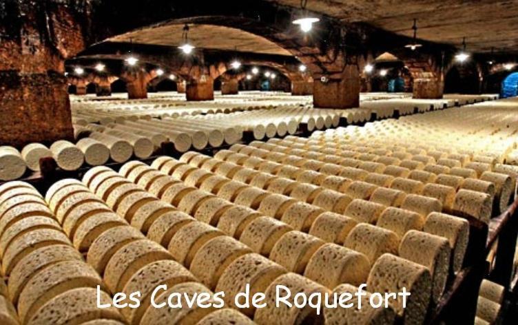 Hébergement de vacances Les Palmiers Des Causses